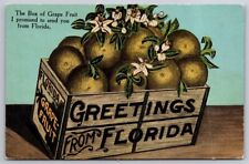 eStampsNet - Greetings from Florida Grape Fruit Box Postcard  picture