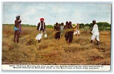 c1910's Indian Harvesting Wheat Farmers Laborers Unposted Antique Postcard picture