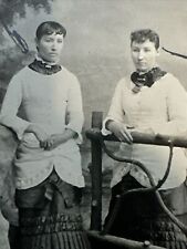 1890's Tintype Two Sisters picture