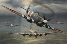 Allies in Arms  by John Shaw aviation art signed by 7 Spitfire & B17 veterans picture