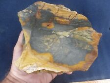 CSS: 4.12 lb Piece Of Owyhee Picture Jasper Rough Rock  picture