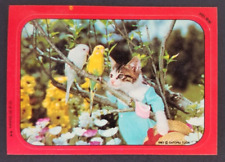 Cat Hanging Out with Birds 1982 Cats Topps Sticker Card #10 (NM) picture