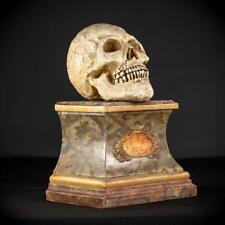 Memento Mori Sculpture | French Antique 1700s Skull | 18th Death Vanitas | 15.7