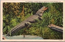 1930s SILVER SPRINGS Florida Postcard 