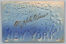 c1910 Greetings From Maple View New York Airbrush Embossed Antique Postcard C6 picture