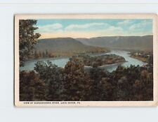 Postcard View of Susquehanna River Lock Haven Pennsylvania USA picture