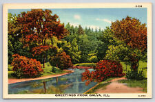 Galva IL-Illinois, Greetings, Trees Water Landscape Vintage Linen Postcard picture