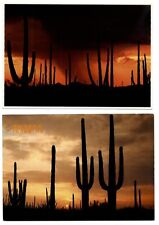 LOT OF 2 Saguaro Cactus desert night sunset storm lightning unused postcards picture