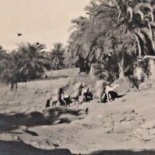 Vintage 1900s RPPC Luxor City Ruin Excavation Egypt Postcard picture