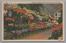 Interior Conservatory Washington Park Chicago IL Vintage Postcard c1936 picture