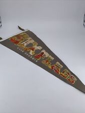 Vintage 1960s-1970s Six Flags over Georgia Pennant. Gray with Letter Design. picture