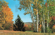 Postcard Typical New England Fall Scene Posted 1978 picture