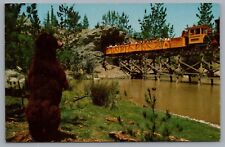 Disneyland Mine Train On Rickety Bridge Bear Nature's Wonderland C-18 Postcard picture