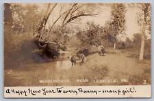 1906 REAL PHOTO POSTCARD cows in field WISSAHICKON, LANSDALE PENNSYLVANIA picture