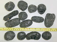 Black Indochinite Tektite Stone 50 to 100 gram size Large Pieces 2 Pieces Lot picture