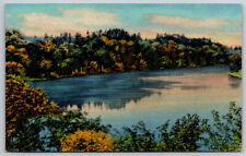 Scenic View of Tree Lined Lake in Fall Autumn Postcard picture