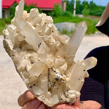1.64LB Natural Beautiful white Quartz Crystal Cluster Mineral Specimen picture