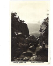 c.1900s The Buffalo Gorge VIC RPPC Real Photo Postcard UNPOSTED picture