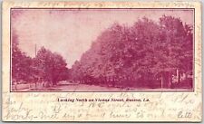 1906 Looking North On Vienna Street Ruston Louisiana LA Trees Posted Postcard picture