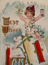 Antique 1916 Ephemera Postcard Embossed Baby New Year Polar Bear Midland Pub Co picture