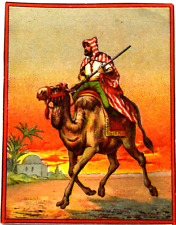 Great 19th Century Image of Soldier on Camel  w Court info Victorian  Card picture