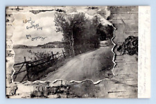 1906. LAKE BOMOSEEN, FAIRHAVEN, VT. POSTCARD L29 picture