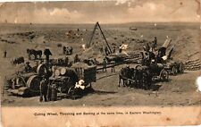 VTG Postcard- A2737. Cutting Wheat, in Eastern Washington. Unused 1910 picture