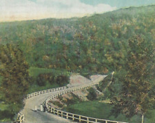 Vintage Postcard White Border 1923 Berkshire Hills Mohawk Trail Massachusetts picture
