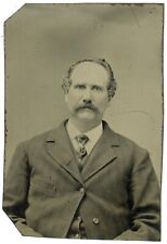 CIRCA 1860'S  Hand Tinted 1/6 Plate TINTYPE Handsome Older Man Mustache Suit Tie picture