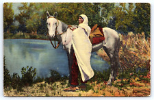 Postcard Native American Taos Indian Horseman and White Horse by Lake Linen A19 picture