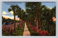 Ormond Beach FL-Florida, Palm Walk to Beach, Antique Vintage Souvenir Postcard picture