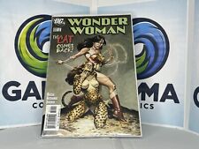 DC Comics Wonder Woman #222 Cat Comes Back (2005) Cheetah Beautiful Cover Art picture