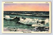 Postcard Michigan Baldwin MI Waves Lake 1940s Unposted Chrome picture