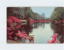 Postcard Scene in Bellingrath Gardens Mobile Alabama USA picture