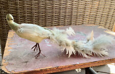 Vintage Faux Peahen Bird with Real Feathers 15” Long picture