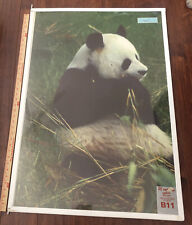 Verkerke Giant Panda & Motocross 2 Sided Vtg Retail Display Posters (2) 37