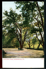 Paxtang Park Harrisburg Pennsylvania Historic Vintage Postcard Besselman C002 picture