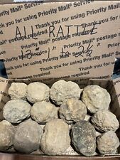 BOX OF KENTUCKY GEODES:**ALL RATTLE**13-RATTLING GEODES. 1” TO 2 1/2”. picture