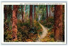 c1930's Along The Old Indian Trails Brule River State Park Wisconsin WI Postcard picture