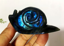 Polished Hand Carved Blue  Labradorite Snail Crystal Skull Carving Decoration picture