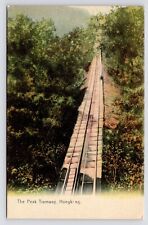 c1910s~Hong Kong China~The Peak Tram~Railway~M. Sternberg~Antique Postcard picture