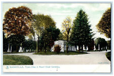 c1905 View in Mount Olivet Cemetery Nashville TN Raphotype Tuck Art Postcard picture