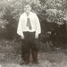 VINTAGE PHOTO cute chubby boy in oversized tie, flower Original Snapshot picture