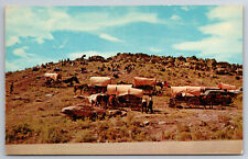 Vintage Postcard NM Gallup Indians Covered Wagons Camping Ceremonial Grounds picture
