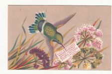 Maison Demorest Reliable Patterns Hummingbird Flowers Vict Card c1880s picture
