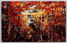 Greetings Tupper Lake New York Country Road Fall Autumn Forest Vintage Postcard picture