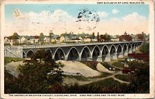 C.1911 Cleveland Brooklyn-Brighton Viaduct Bridge Ohio Postcard  picture