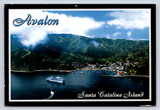 Vintage Postcard Avalon Santa Catalina Island picture