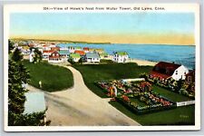Old Lyme Connecticut~Birds Eye View Of Hawks Nest From Water Tower~Vtg Postcard picture