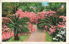 Lake Worth Florida, Azalea & Palm Lined Pathway, Poem on Back, Vintage Postcard picture
